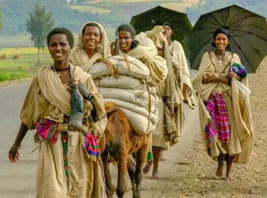 GEBRE